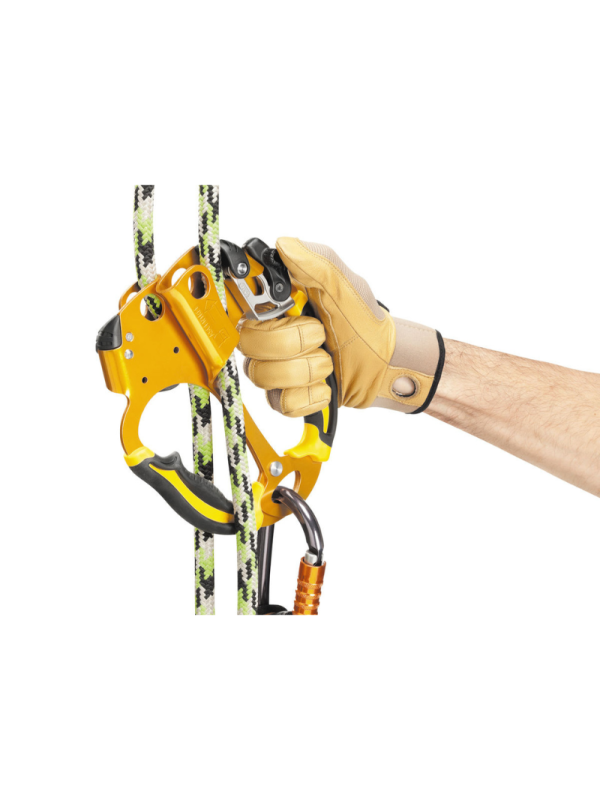 PETZL - ASCENTREE