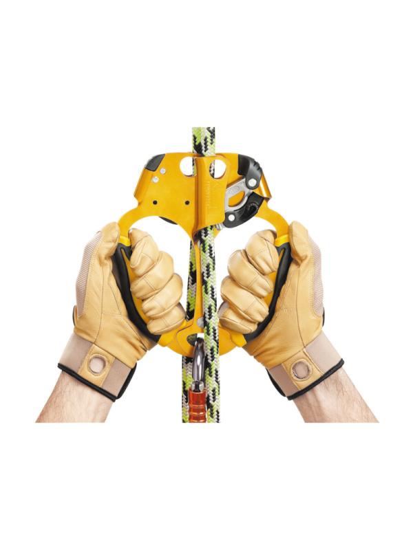 PETZL - ASCENTREE